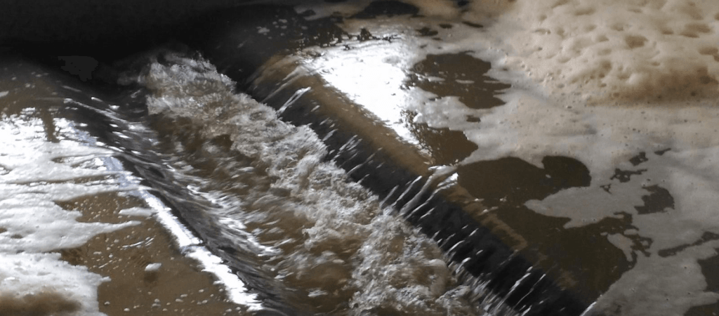 SAAE Viçosa e Bloom trabalham juntos na reforma de filtros&nbsp;ascendentes